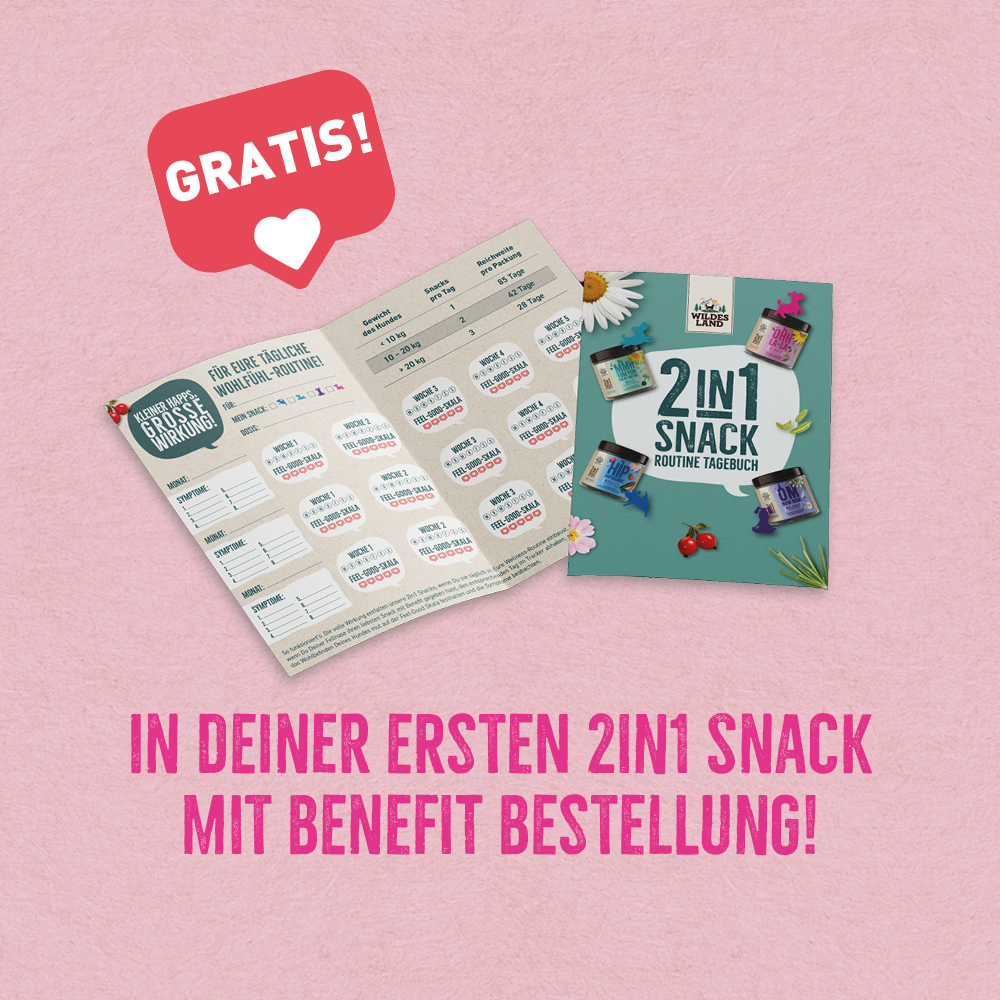 Werbung für das „2in1 Snack Routine Tagebuch“: Kostenlose Beilage bei der ersten „2in1 Snack mit Benefit“-Bestellung, dargestellt mit einem offenen und geschlossenen Tagebuch auf türkisem Hintergrund. Hervorgehoben durch eine rote Sprechblase mit „GRATIS!“-Hinweis und einem Herzsymbol.